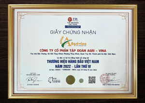 giải thưởng