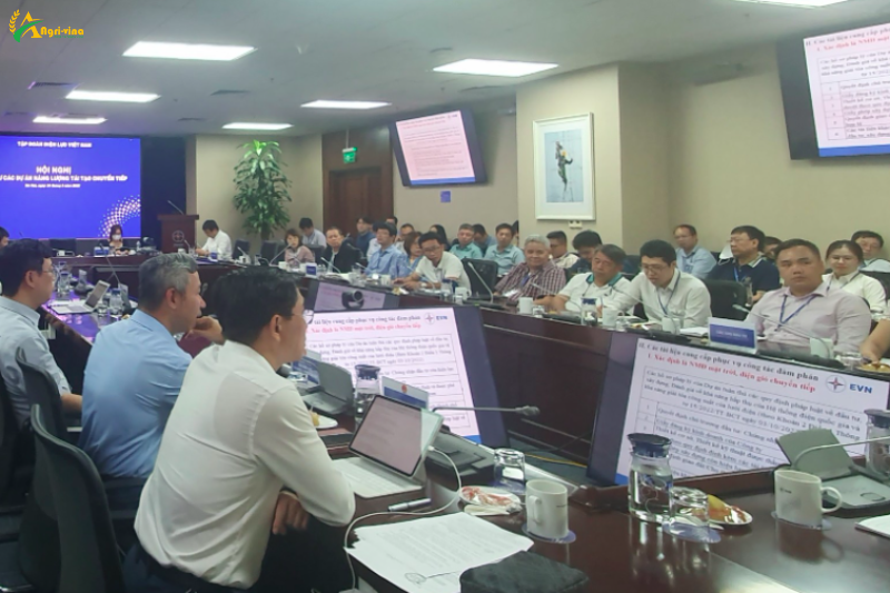 16 nhà máy điện gió, điện mặt trời chuyển tiếp đã nối lưới điện quốc gia