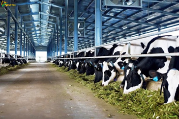 What to do to promote the development of digital agricultural ecosystem in Vietnam?