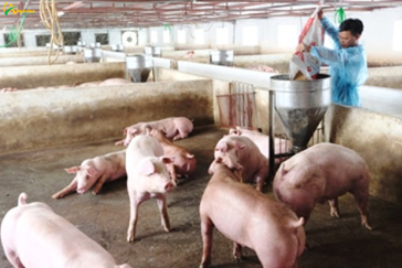 Livestock farming has changed positively thanks to the Government's support policies