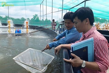 168 billion VND to promote agricultural science and technology