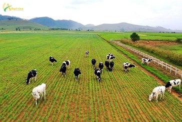 Difficulties of the world livestock industry today