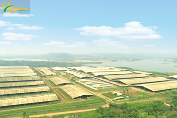 Technology 4.0 turns poor land into a 'dairy capital'