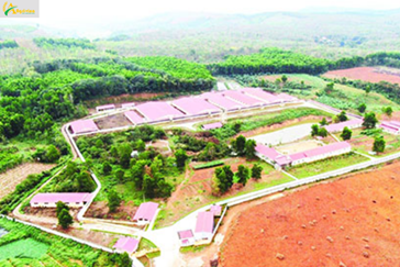 Sustainable livestock development: Mechanisms and policies to encourage - motivation for livestock development