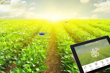 Building smart agriculture